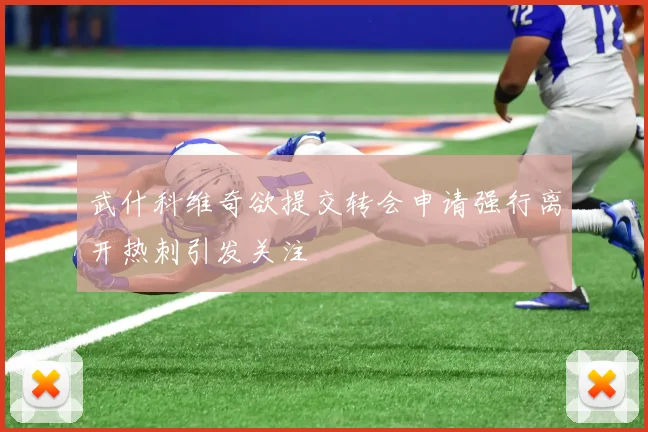 武什科维奇欲提交转会申请强行离开热刺引发关注